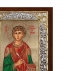 Святой Пантелеимон Серебряной Иконы (26x20cm 584SQ)